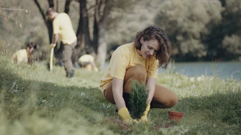 Best Soil Testing and Treatment  in Erwin, TN